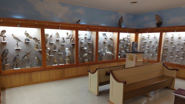 explore-the-history-of-new-brunswick's-southernmost-communities-|-cbc-news