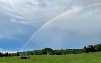 Beautiful moments: Enjoy these photos from around New Brunswick | CBC News