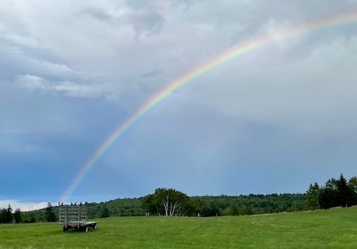 beautiful-moments:-enjoy-these-photos-from-around-new-brunswick-|-cbc-news