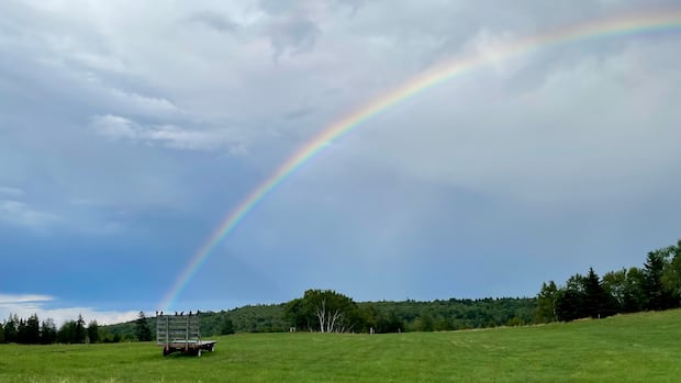 beautiful-moments:-enjoy-these-photos-from-around-new-brunswick-|-cbc-news