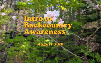 Intro to Backcountry Awareness