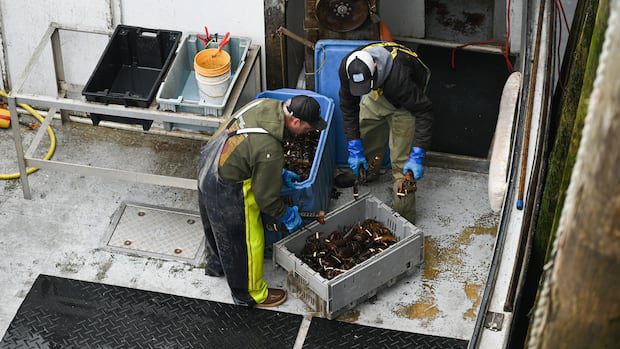 canadian-seafood-industry-'relieved'-with-removal-of-their-products-from-retaliatory-tariff-list-|-cbc-news