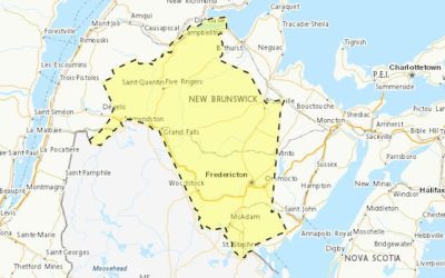 Severe thunderstorm watch in place for much of N.B. | CBC News