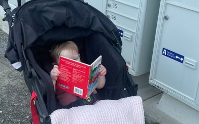 Dolly Parton’s Imagination Library has delivered thousands of books to N.B. children | CBC News
