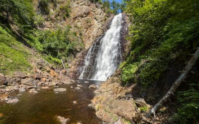 Capturing the cascade: Exploring some of New Brunswick’s hundreds of waterfalls | CBC News