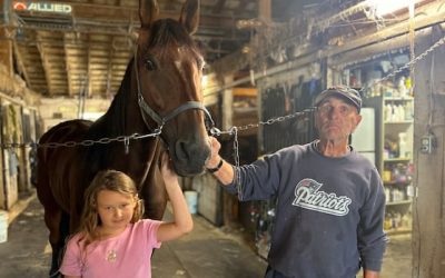 Case of equine herpesvirus in N.B. leads fairs to postpone or cancel horse events | CBC News