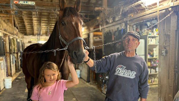 case-of-equine-herpesvirus-in-nb.-leads-fairs-to-postpone-or-cancel-horse-events-|-cbc-news
