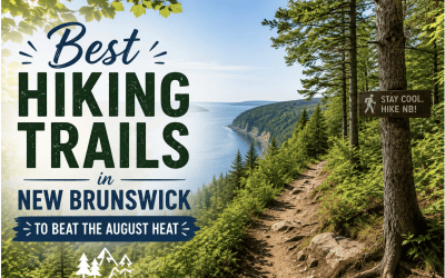 Best Hiking Trails in New Brunswick to Beat the August Heat