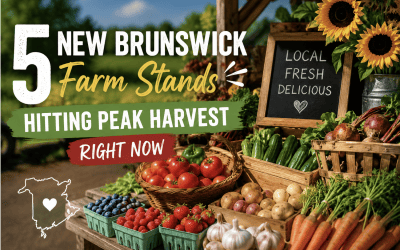 5 New Brunswick Farm Stands Hitting Peak Harvest Right Now