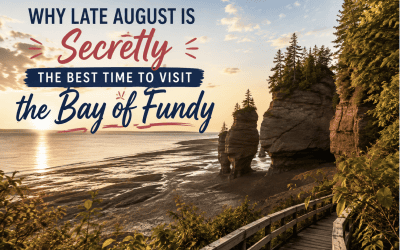 Why Late August Is Secretly the Best Time to Visit the Bay of Fundy