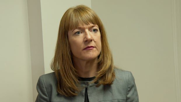provincial-lunch-program-to-be-delayed-for-some-nb.-schools-|-cbc-news