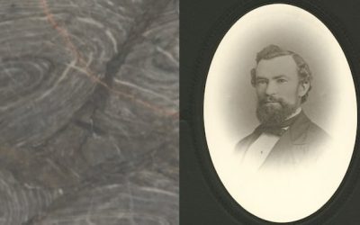 How one Saint John man found Atlantic Canada’s oldest fossils | CBC News
