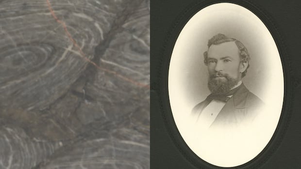 how-one-saint-john-man-found-atlantic-canada's-oldest-fossils-|-cbc-news