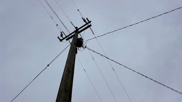 high-winds-cause-thousands-of-power-outages-in-nb.-|-cbc-news