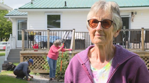 ‘time-bank’-in-southwestern-nb.-helps-neighbours-exchange-skills,-build-community-|-cbc-news