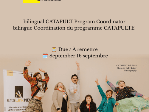 call-for-full-time,-bilingual-catapult-programming-coordinator