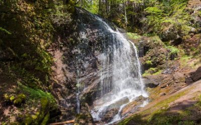 Capturing the cascade: Exploring some of New Brunswick’s hundreds of waterfalls | CBC News