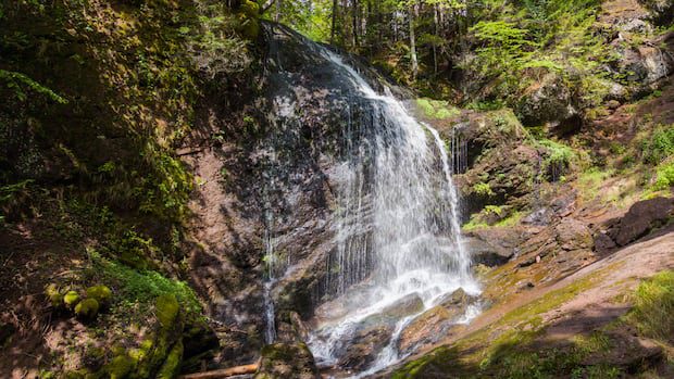 capturing-the-cascade:-exploring-some-of-new-brunswick's-hundreds-of-waterfalls-|-cbc-news