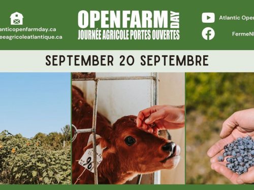 nb-open-farm-day-2026/journe-agricole-portes-ouvertes-n-b.-2026