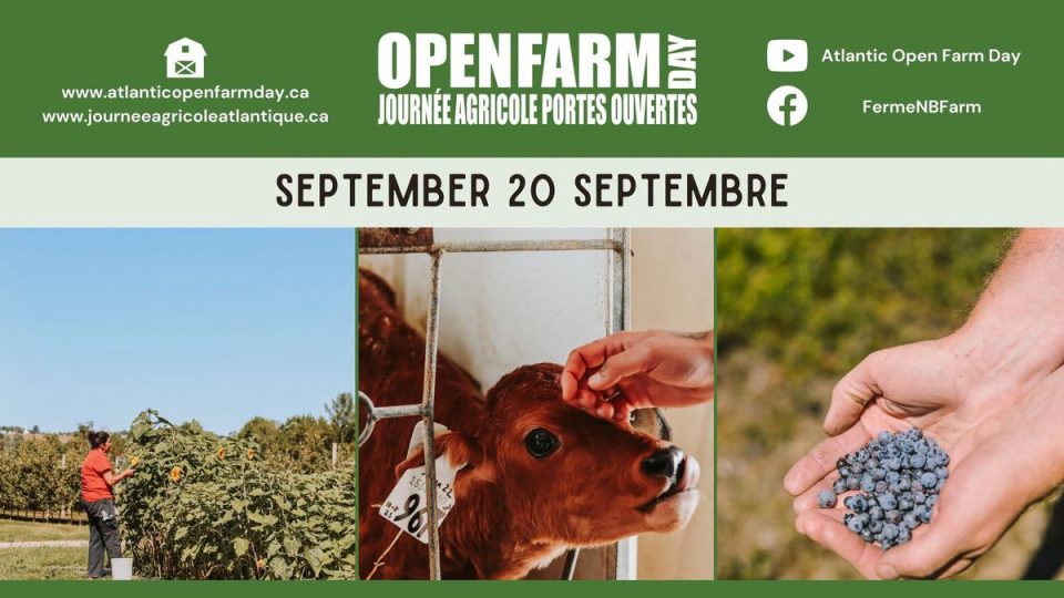 nb-open-farm-day-2026/journe-agricole-portes-ouvertes-n-b.-2026