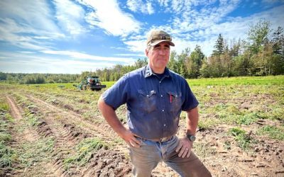 N.B. farm exists for one purpose: feeding people who need it the most | CBC News