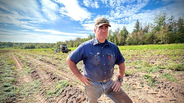 nb.-farm-exists-for-one-purpose:-feeding-people-who-need-it-the-most-|-cbc-news
