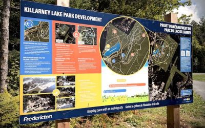 From mountain bikes to disc golf, Killarney Lake Park’s glow-up is in full swing | CBC News