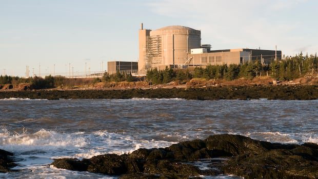 leak-forces-point-lepreau-to-shut-down-for-2nd-time-this-month-|-cbc-news