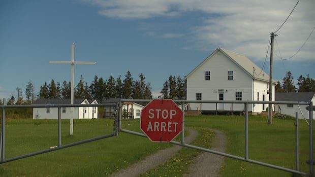 summer-camp-took-‘immediate-action’-after-learning-of-alleged-sexual-assault,-says-owner-|-cbc-news