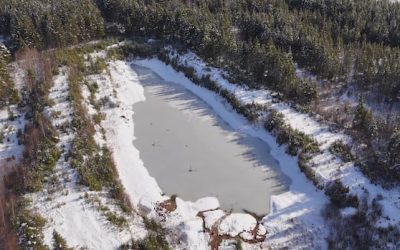 N.B. projects pitched at Canada Investment Summit are not shovel-ready | CBC News