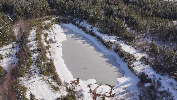 nb.-projects-pitched-at-canada-investment-summit-are-not-shovel-ready-|-cbc-news