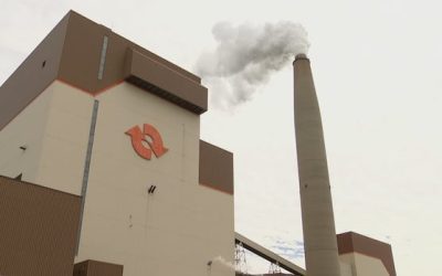 Belledune power plant to be converted from coal to wood pellets as fuel | CBC News