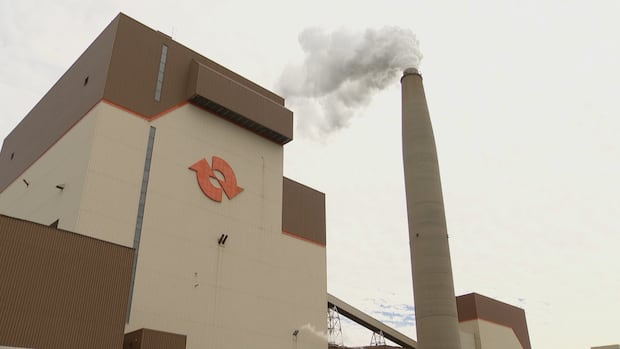 belledune-power-plant-to-be-converted-from-coal-to-wood-pellets-as-fuel-|-cbc-news