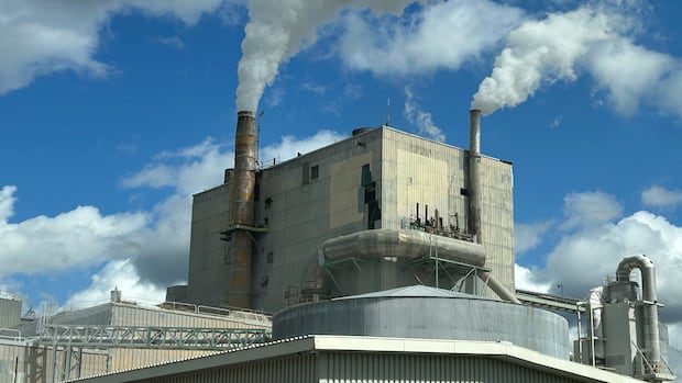 nackawic-mill-worker,-local-residents-want-to-see-mill-continue-on-|-cbc-news