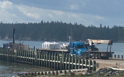 Atlantic salmon farmers push for growth here as imports top $750M | CBC News