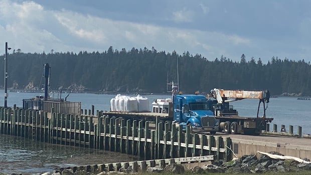 atlantic-salmon-farmers-push-for-growth-here-as-imports-top-$750m-|-cbc-news