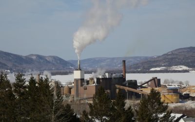 Atholville pulp mill is facing same challenges as Nackawic mill, AV Group says | CBC News
