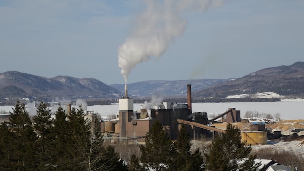 atholville-pulp-mill-is-facing-same-challenges-as-nackawic-mill,-av-group-says-|-cbc-news
