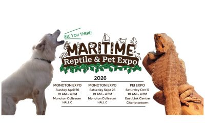 Maritime Reptile & Pet Expo – Moncton Fall Expo 2026