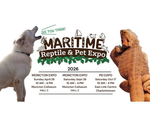 maritime-reptile-&-pet-expo-–-moncton-fall-expo-2026