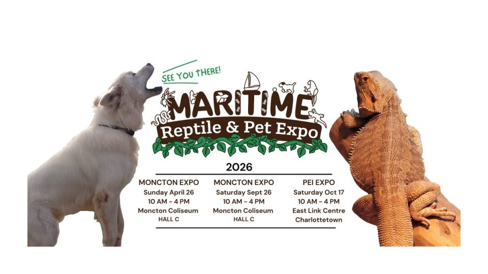maritime-reptile-&-pet-expo-–-moncton-fall-expo-2026
