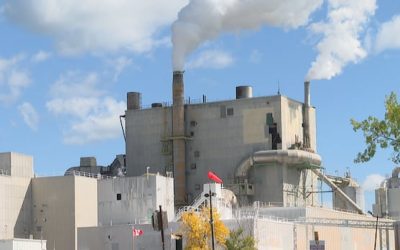 Nackawic mill owner may be ‘tapping out,’ minister says | CBC News