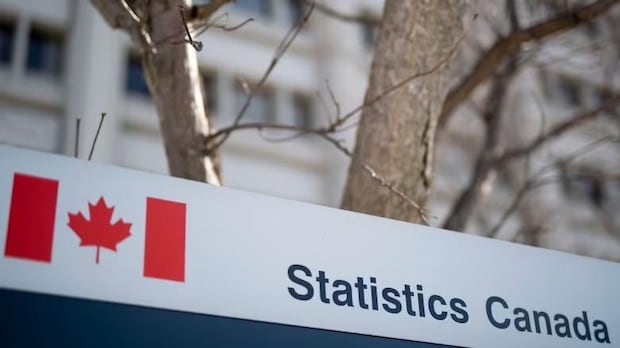 moncton-has-3rd-highest-per-capita-methamphetamine-levels-in-wastewater-study,-data-shows-|-cbc-news