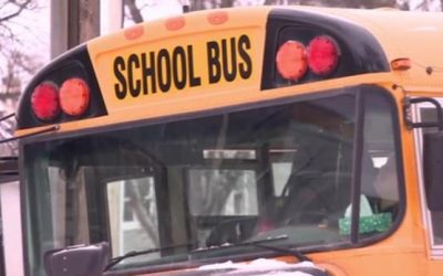 Moncton school bus hit student, school district says | CBC News