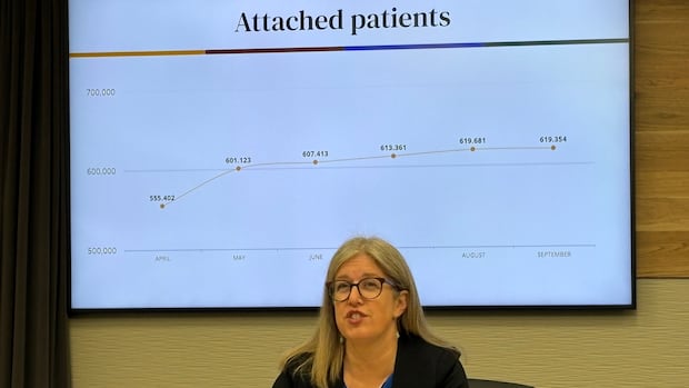 holt-liberals-changing-how-they-calculate-primary-care-access-|-cbc-news
