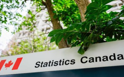 N.B. population rises as StatsCan revises estimates that showed decline | CBC News