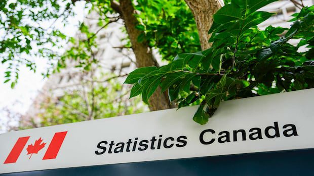 nb.-population-rises-as-statscan-revises-estimates-that-showed-decline-|-cbc-news
