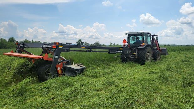 sky-high-diesel-prices-are-troubling-farmers,-truckers-in-nb.-|-cbc-news