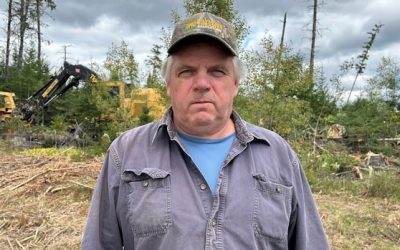 Woodlot producer forced to downsize, sell to U.S. after Nackawic mill stopped taking his wood | CBC News