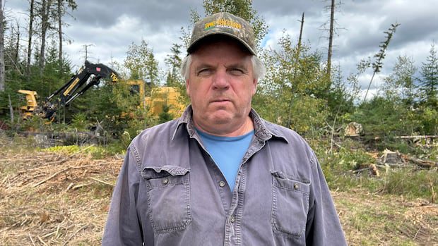 woodlot-producer-forced-to-downsize,-sell-to-us.-after-nackawic-mill-stopped-taking-his-wood-|-cbc-news